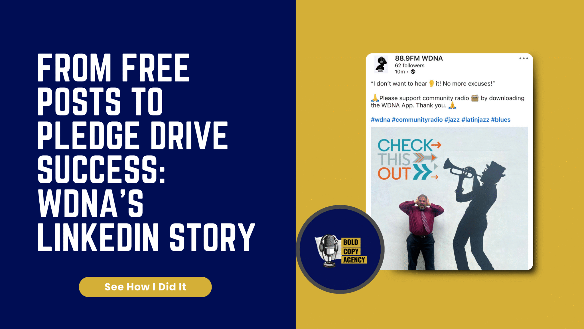 Hero image for the article “How I Created and Managed the LinkedIn Page for Public Media,” featuring WDNA’s LinkedIn story and a CTA button that reads “See How I Did It.”